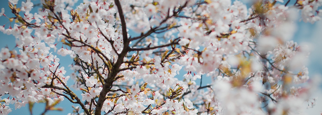 spring-term-kickoff-and-advice-for-new-students